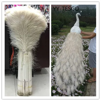 Toptan 20 adet güzel beyaz tavuskuşu tüyü göz 70-80 cm / 28-32 inç dekoratif kutlama sahne performansı dıy